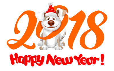 З Новим 2018 Роком!!!
